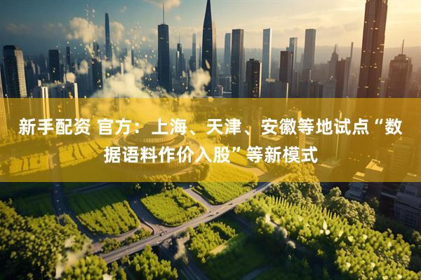 新手配资 官方：上海、天津、安徽等地试点“数据语料作价入股”等新模式