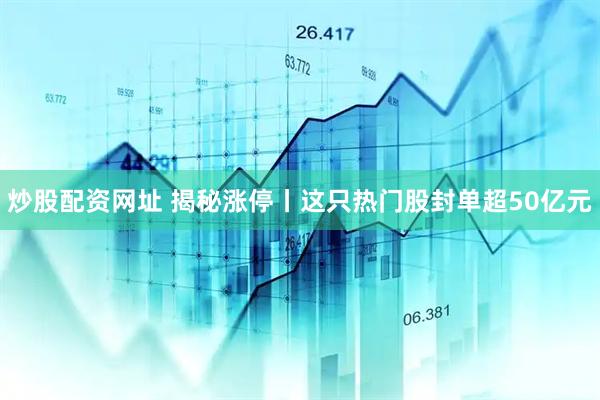 炒股配资网址 揭秘涨停丨这只热门股封单超50亿元
