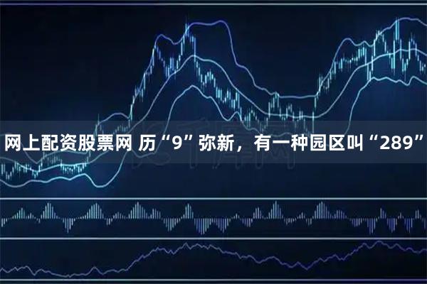 网上配资股票网 历“9”弥新，有一种园区叫“289”